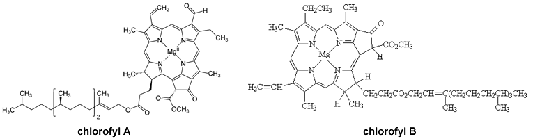 chlorofyl A en chlorofyl B